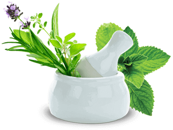 Best Ayurvedic Spa